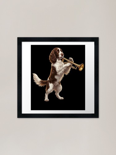 English springer spaniel - english,