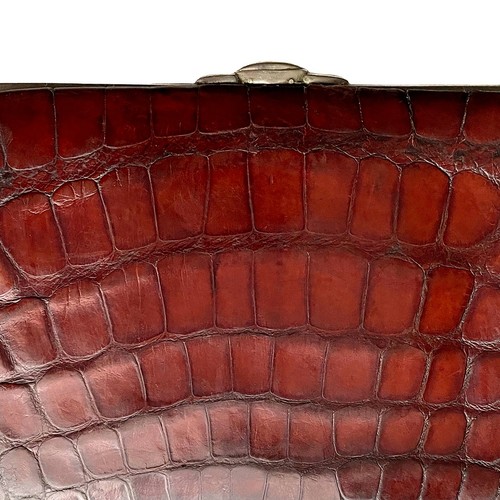 Crocodile skin leather - &,
