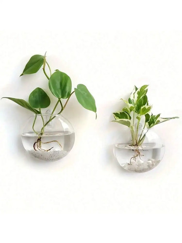 Wall hanging glass - hanging,