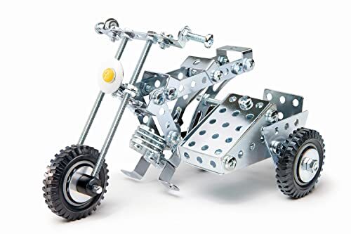 Motorcycle with sidecar - with,