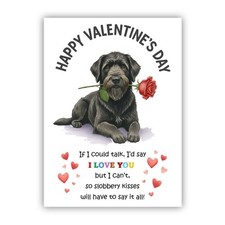 Bouvier des Flandres Dog