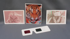 3 x 3D postcards with 3D glasses Jumping Spider, Tiger & Springtail
