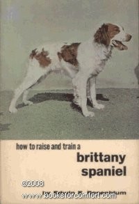 Brittany spaniel how raise - brittany, to