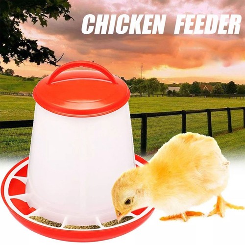 Poultry feeder drinker chicken - feeder,