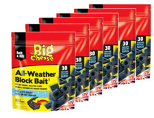 BIG CHEESE PROFESSIONAL