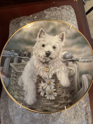 Westie dog porcelain plate - porcelain,