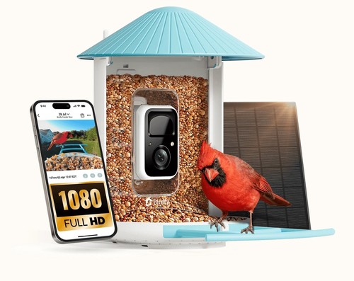 Bird feeder smart - bird,