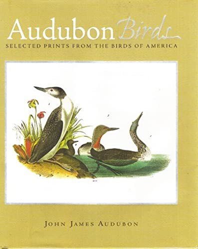 Audubon birds selected prints - birds:,