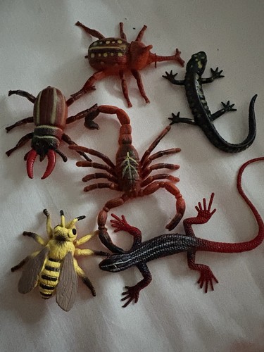 Bugs scorpion reptiles kids - bugs,