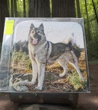 Mug & Coaster Set Of A