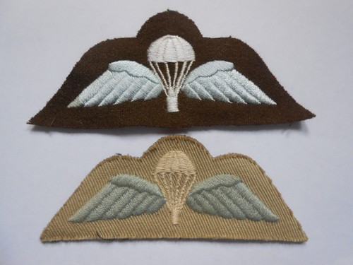 Two jump wings 1980 - ,