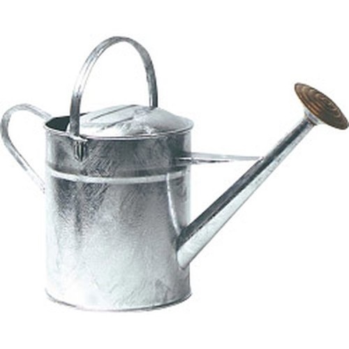 Ambassador galvanised watering - ambassador,