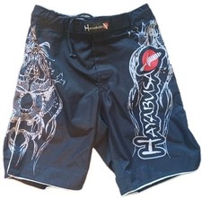 Hayabusa Mizuchi MMA Fight