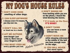 Alaskan Malamute My Dog's