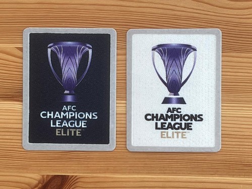 2024 2025 afc champions - 2024-2025,