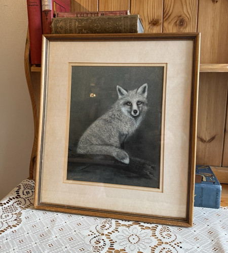Sue willis framed print fox - willis,
