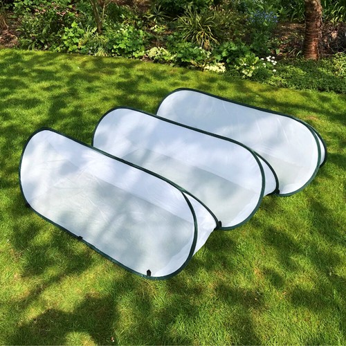 Garden grow tunnel allotment - grow,
