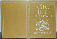 Entomology insect life - entomology, in