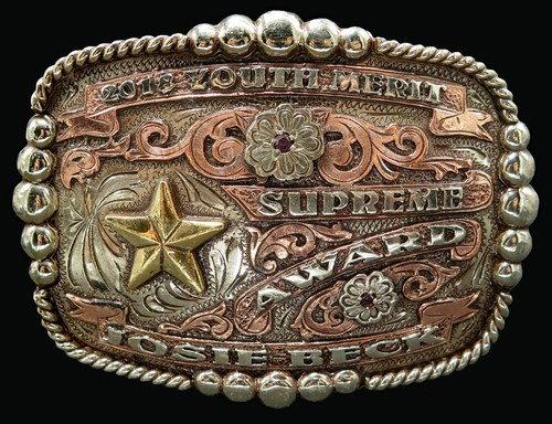 2018 youth merit supreme award - 2018,