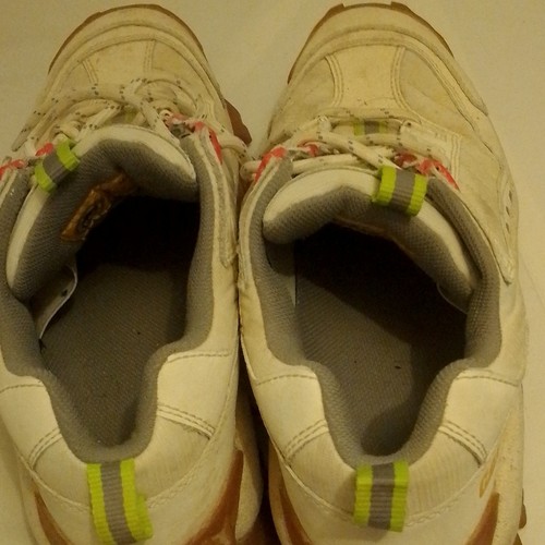 Cat men low top - men’s,