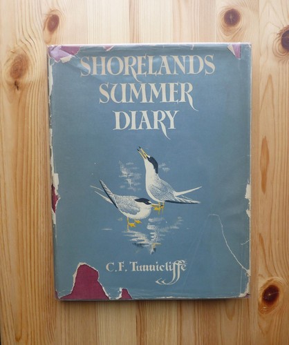 Shoreland summer diary - -, cf
