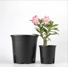 1/2/3/5/7/10/15/20 Gallon