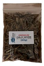 Premium DRIED Calci Worms