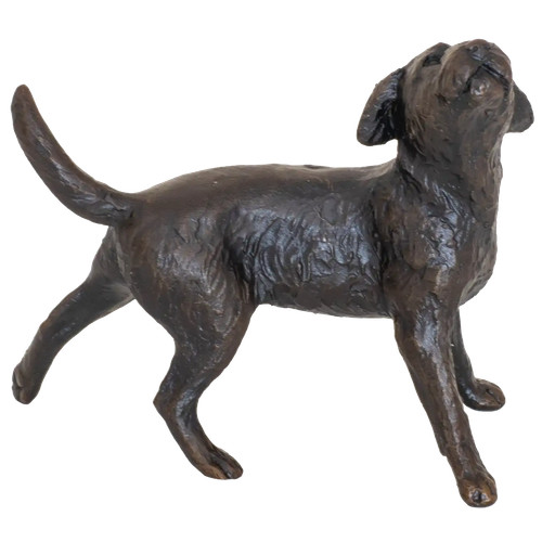 Richard cooper limited edition - richard,