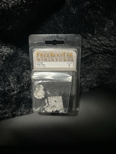 Freebooter miniatures werner - miniatures,