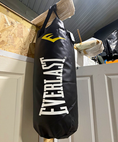 Everlast hanging punch bag - punch,