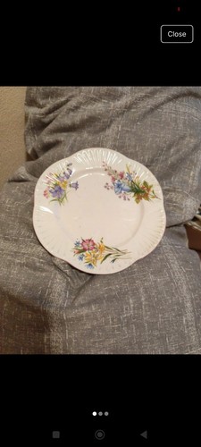 Vintage shelley wild - "wild, flowers"