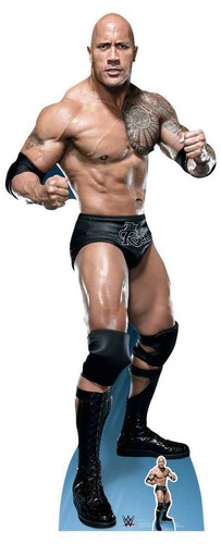 The rock dwayne johnson - the, fight