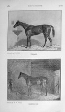 Original Old Antique Print