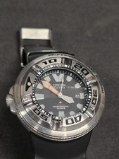 Citizen Promaster Professional