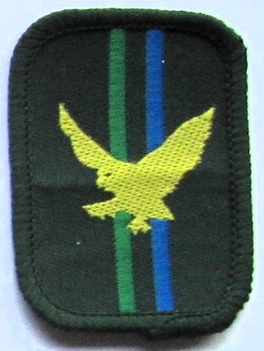 Scout patrol badge - patrol, kestrel