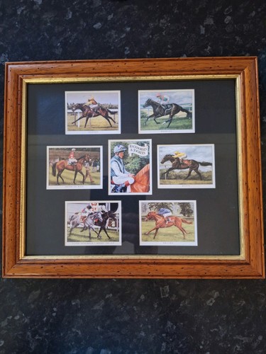 Bob haverly picture - bob, races