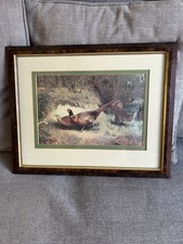 Archibold Thorburn  Pheasant print - framed