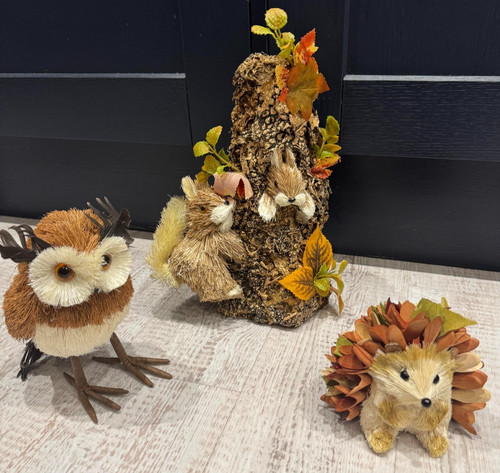 Hedgehog owl squirrel - hedgehog,,