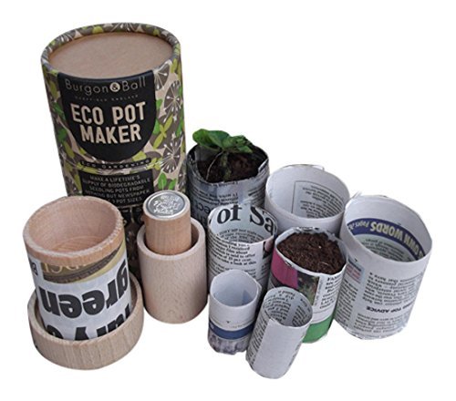 Paper eco pot maker burgon - eco,