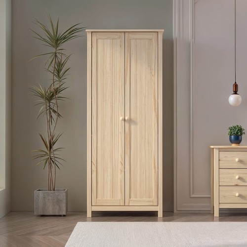 Wardrobe door and shelves - 2,
