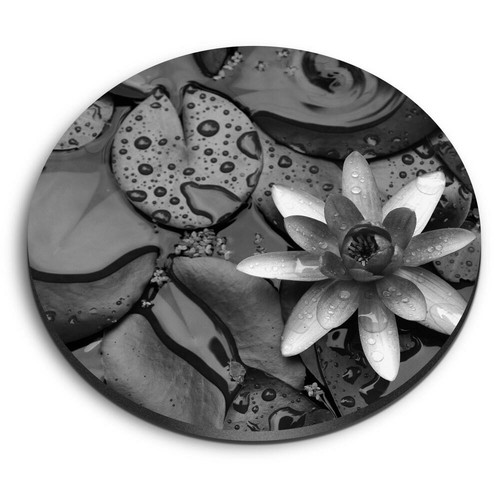 Round mdf magnets water - round,