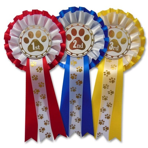 Dog show rosettes - show, 1st-3rd