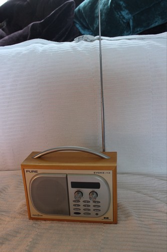 Pure evoke portable dab - pure,
