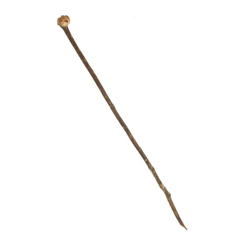 Zulu knobkerrie carved wood - zulu,