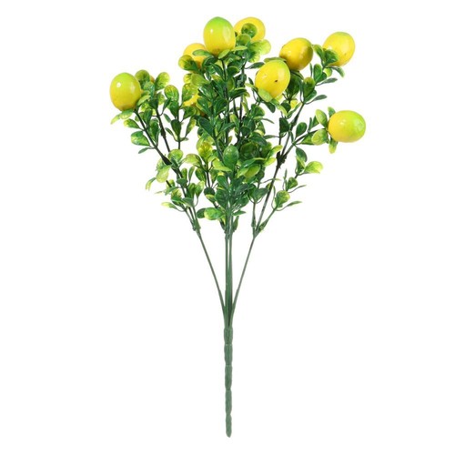 For home lemon tree - for,