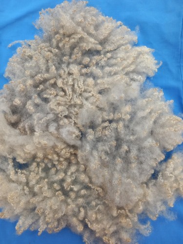 Light grey washed - soft, curly
