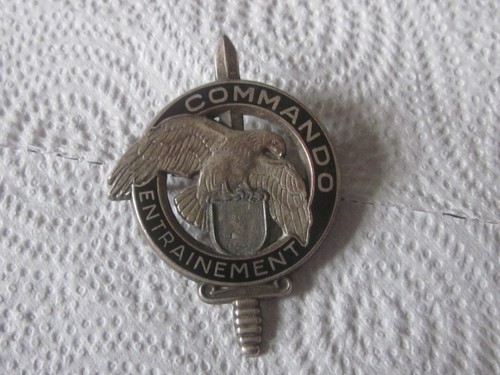 Military badge commando - badge,