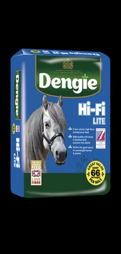 Dengie lite 20kg low - fi,