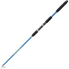 Shakespeare Firebird