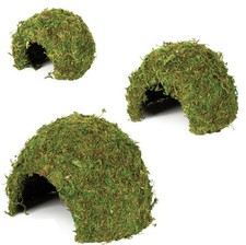 Komodo Natural Moss Cave